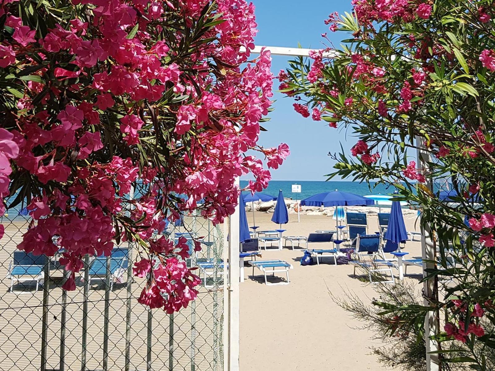 Villaggio Gabbiano Beach Vieste Exterior photo