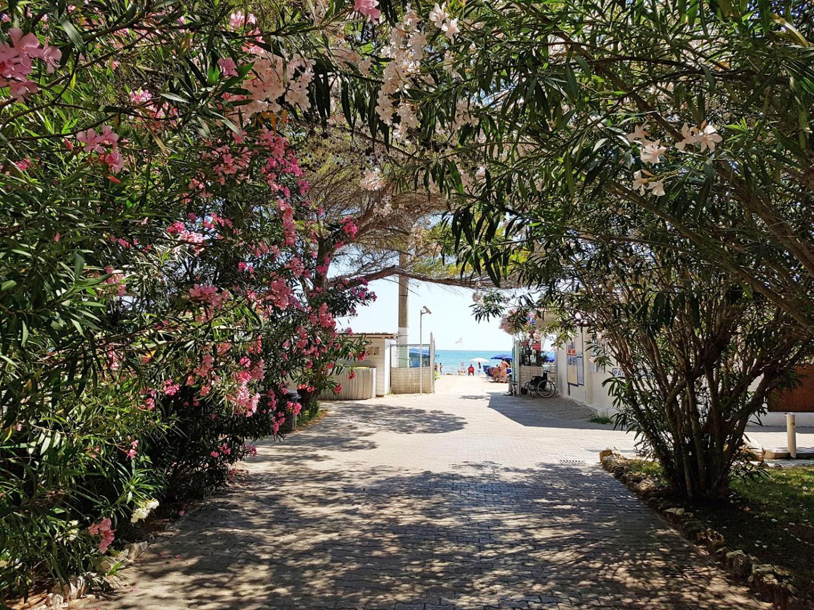 Villaggio Gabbiano Beach Vieste Exterior photo